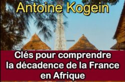 Clés pour comprendre la décadence de la France en Afrique