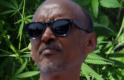 Paul Kagame a fait main basse sur le commerce juteux de la friperie et sur la culture et la vente du cannabis [Série 8]